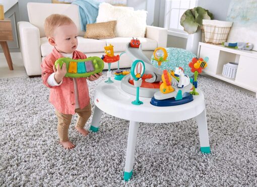 Fisher-Price 2-in-1 Sit-to-Stand Activity Centre FVD25