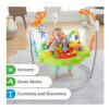 Fisher-Price Roarin' Rainforest Jumperoo, Infant Activity Center CHM91
