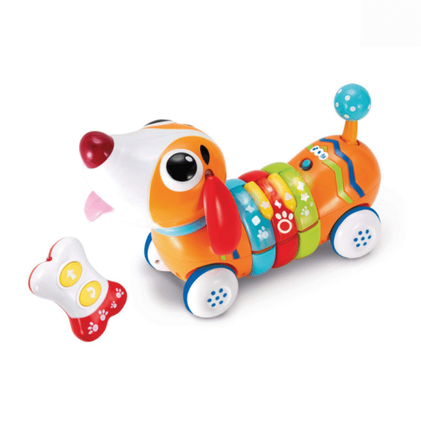 Win Fun - R/C Rainbow Pup