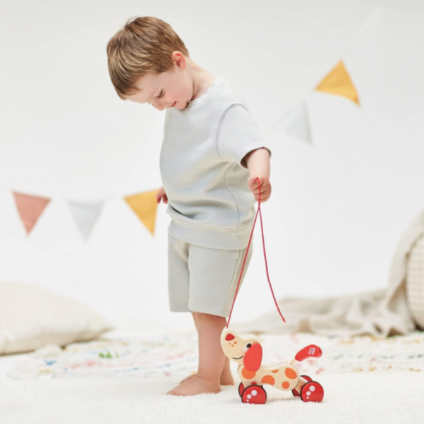 Hape - Walk-A-Long Puppy / FSC - Image 4