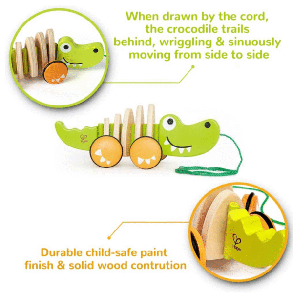 Hape - Walk-A-Long Crocodile Pull Toy for Toddlers - Image 4