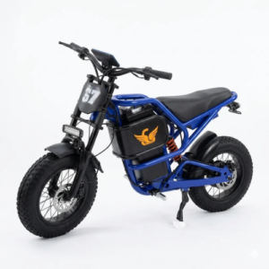 ASTER X9 Electric Dirt Bike 48V 20Ah Off-Road Bike (Blue)